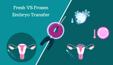 Fresh vs Frozen Embryo Transfer- Candorivf.com