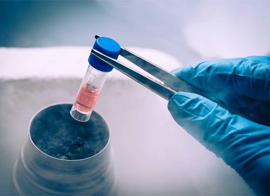 Cryopreservation