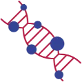 DNA Fragmentation Test in Surat - Candorivf.com