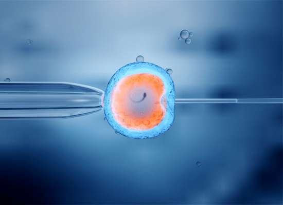 IVF Treatment in India