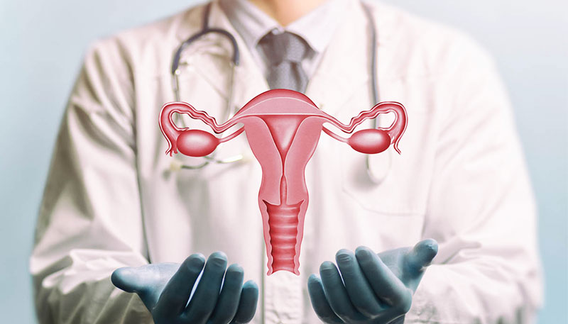 Reproductive Surgeries - Candorivf.com
