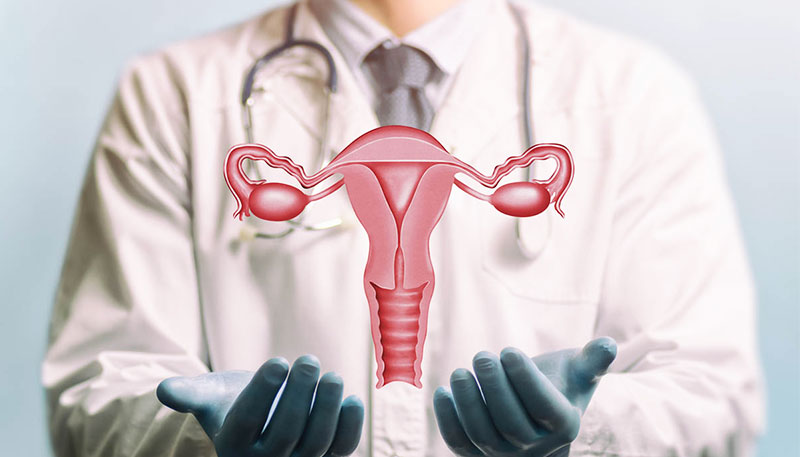 Reproductive Surgeries