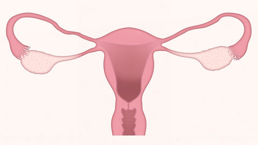 Tubal Ligation Surgery in Surat - Candorivf.com