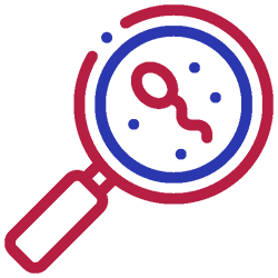 Magnetic Activated Cell Sorting