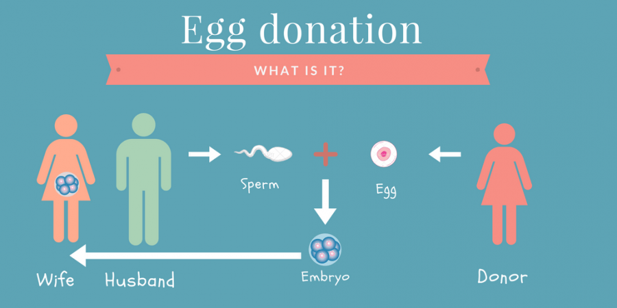 Ovum Donation