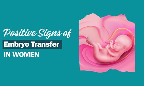 positive signs of successful embryo transfer