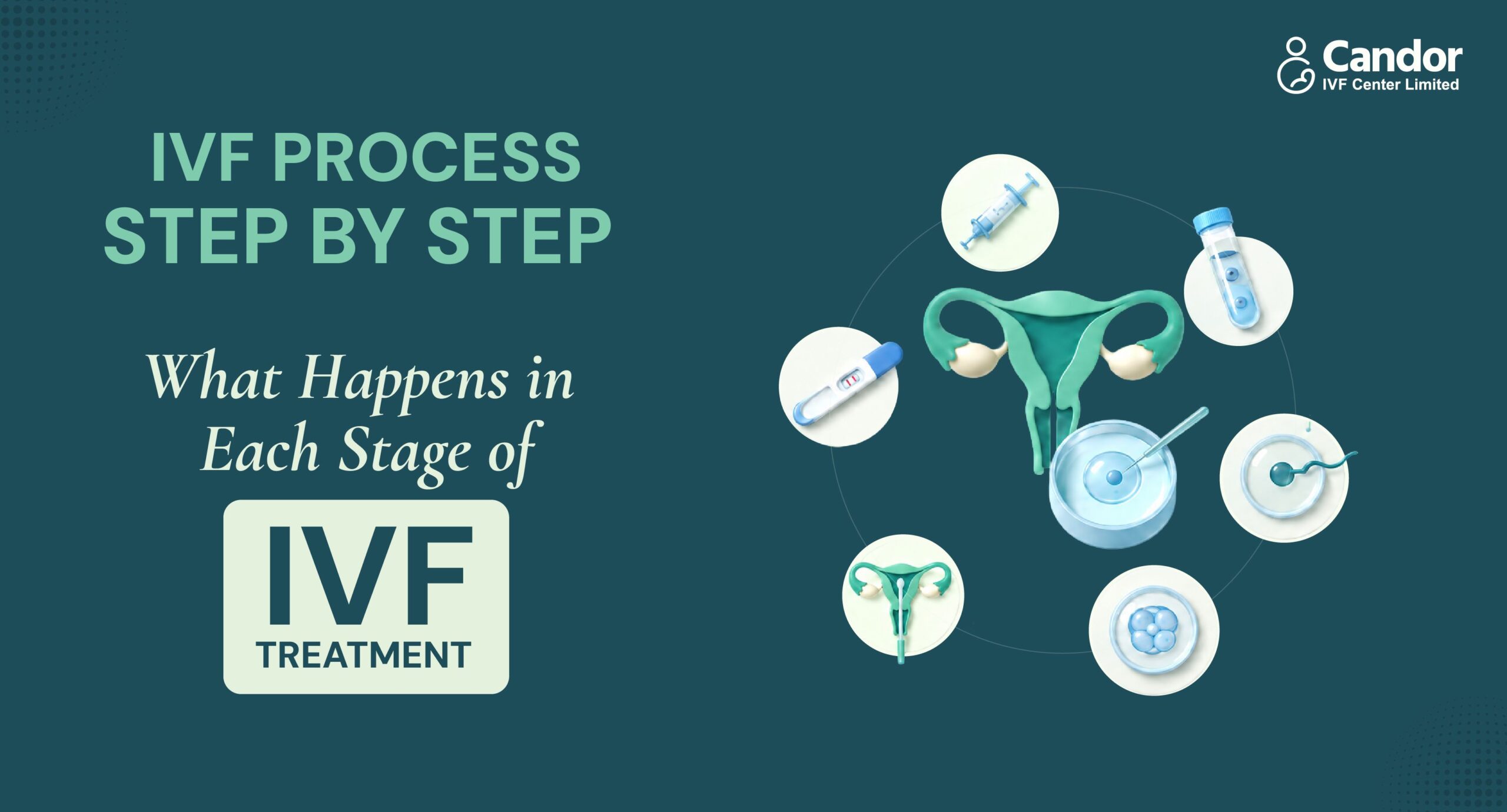 IVF Process Step By Step