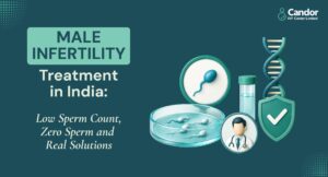 Male Infertility Treatment in India: Low Sperm Count, Zero Sperm & Solutions