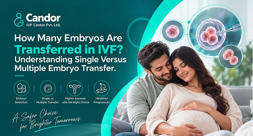 How Many Embryos Are Transferred in IVF Understanding Single vs Multiple Embryo Transfer