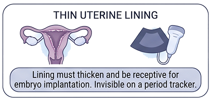 Mild or Silent Endometriosis