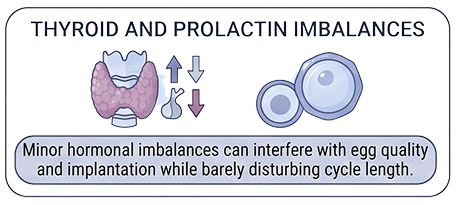 Thyroid and Prolactin Imbalances