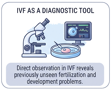 Why IVF changes the equation