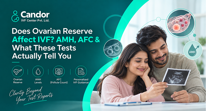Does Ovarian Reserve Affect IVF AMH, AFC & What These Tests Actually Tell You