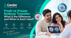 Fresh vs Frozen Embryo Transfer What Is the Difference and When Is Each Used